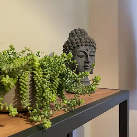 Hotel Kale